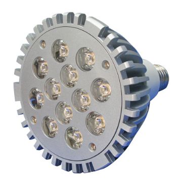 Power Led Bulbs